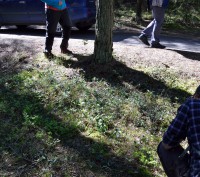 /album/botanica/dsc-0943-jpg/