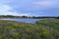 /album/botanica/dsc-1707-jpg/